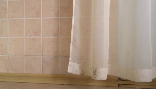 Best Asbestos and Lead Testing During Mold Inspection  in Kamas, UT