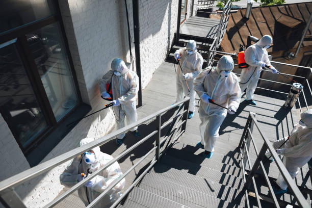 Best Crawl Space Mold Remediation  in Kamas, UT
