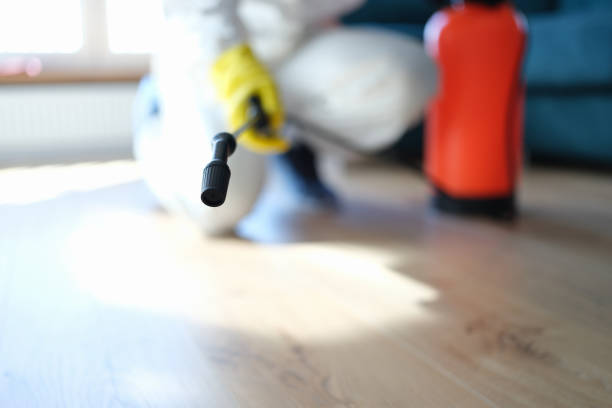 Best Water Damage & Mold Remediation  in Kamas, UT
