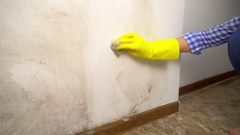 Best Asbestos and Lead Testing During Mold Inspection  in Kamas, UT